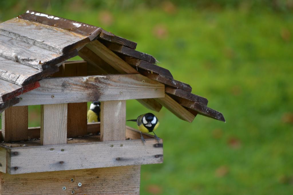 Mini hotel Škofja Loka Zewnętrze zdjęcie
